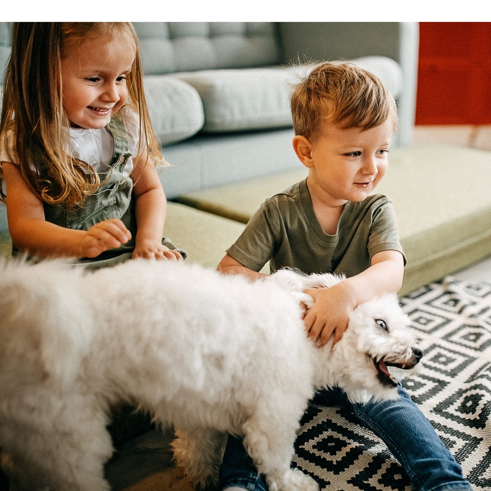 Puppies for Sale | Puppies For Sale in UAE | Puppies For Sale UAE