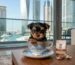 Buying Teacup Puppies in Dubai Price, Care & Health Guide